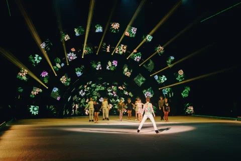 Holiday On Ice - A New Day - LED panels