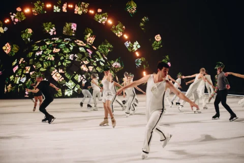 Holiday On Ice - A New Day - LED decor